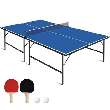 Ping pong table
